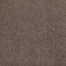 Shaw Floors That’s Right Rustic Taupe 00706_E0812