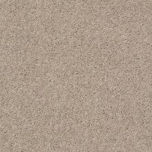 Shaw Floors Value Collections All Star Weekend II 12′ Net Bare Mineral 00105_E0814