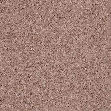 Shaw Floors Value Collections All Star Weekend II 12′ Net Honeycomb 00201_E0814