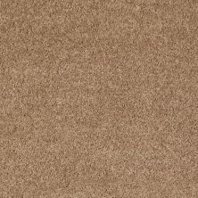 Shaw Floors Value Collections All Star Weekend II 12′ Net Golden Echoes 00202_E0814