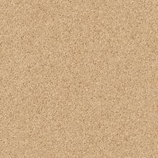 Shaw Floors Value Collections All Star Weekend II 12′ Net Sun Beam 00240_E0814