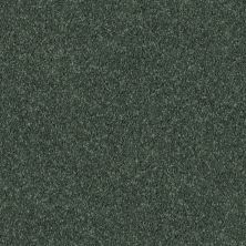 Shaw Floors Value Collections All Star Weekend II 12′ Net Going Green 00340_E0814