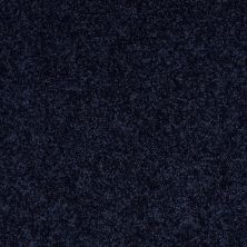 Shaw Floors Value Collections All Star Weekend II 12′ Net Evening Sky 00403_E0814