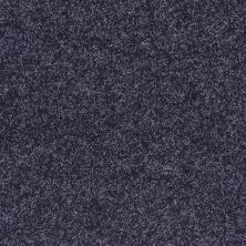 Shaw Floors Value Collections All Star Weekend II 12′ Net Denim 00410_E0814