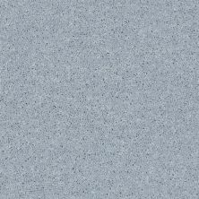 Shaw Floors Value Collections All Star Weekend II 12′ Net Silver Spoon 00542_E0814