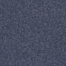 Shaw Floors Value Collections All Star Weekend II 12′ Net Charcoal 00545_E0814