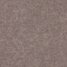 Shaw Floors Value Collections All Star Weekend II 12′ Net Hearth Stone 00700_E0814