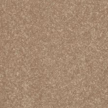 Shaw Floors Value Collections All Star Weekend II 15′ Net Tassel 00107_E0815