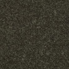 Shaw Floors Value Collections All Star Weekend II 15′ Net Garden Grove 00301_E0815