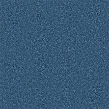Shaw Floors Value Collections All Star Weekend II 15′ Net Indigo 00441_E0815