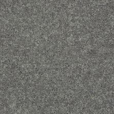 Shaw Floors Value Collections All Star Weekend II 15′ Net Ink Spot 00501_E0815