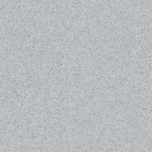 Shaw Floors Value Collections All Star Weekend II 15′ Net Dove 00540_E0815