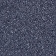 Shaw Floors Value Collections All Star Weekend II 15′ Net Charcoal 00545_E0815