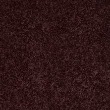 Shaw Floors Value Collections All Star Weekend II 15′ Net Royal Purple 00902_E0815
