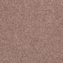 Shaw Floors Value Collections All Star Weekend III 15′ Net Tassel 00107_E0816
