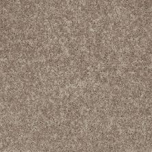 Shaw Floors Value Collections All Star Weekend III 15′ Net River Slate 00720_E0816