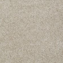 Shaw Floors Value Collections Make It Yours (s) Net Gallery