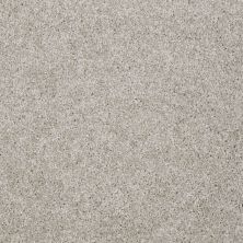 Shaw Floors Value Collections Make It Yours (s) Net Cascade 00152_E0821