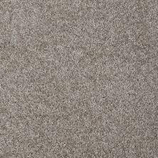 Shaw Floors Value Collections Make It Yours (s) Net Driftwood Solid 00750_E0821