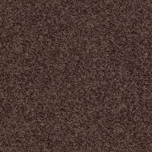 Shaw Floors Value Collections One Over All Net Urban Legend