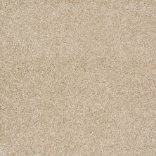 Shaw Floors Value Collections Parlay Net Muslin 00102_E0829