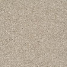 Shaw Floors Value Collections Parlay Net Gallery 00103_E0829