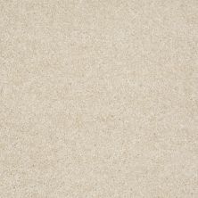 Shaw Floors Value Collections Parlay Net Ivory 00150_E0829