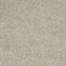 Shaw Floors Value Collections Parlay Net Cascade 00152_E0829