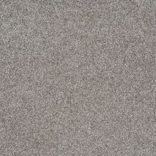 Shaw Floors Value Collections Parlay Net Pewter 00550_E0829