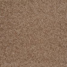 Shaw Floors Value Collections Parlay Net Ridgecrest 00702_E0829