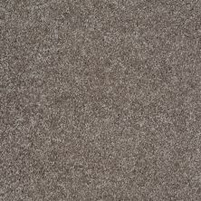 Shaw Floors Value Collections Parlay Net Stone 00751_E0829
