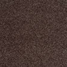 Shaw Floors Value Collections Parlay Net Mink 00753_E0829