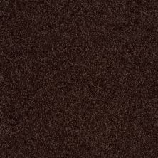 Shaw Floors Value Collections Parlay Net Truffle 00755_E0829