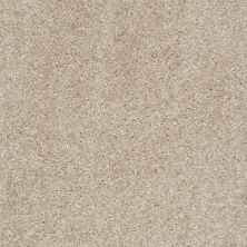 Shaw Floors Value Collections Keep It Real Net Amazing Greige 00105_E0835