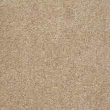 Shaw Floors Value Collections Keep It Real Net Hillsborough