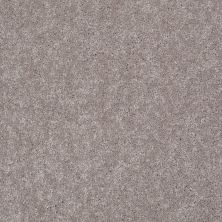 Shaw Floors Value Collections Well Played I 12 Net Mocha Frost 00702_E0839