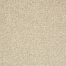 Shaw Floors Value Collections Well Played II 12′ Net Agate 00102_E0840