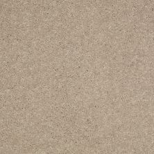 Shaw Floors Value Collections Well Played II 12′ Net Sandy Nook 00104_E0840