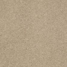 Shaw Floors Value Collections Well Played II 12′ Net Almond Bark 00106_E0840