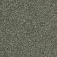 Shaw Floors Value Collections Well Played II 12′ Net Spring Leaf 00300_E0840