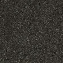 Shaw Floors Value Collections Well Played II 12′ Net Aspen 00302_E0840