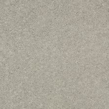 Shaw Floors Value Collections Well Played II 12′ Net Dove Tail 00501_E0840
