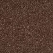 Shaw Floors Value Collections Well Played II 12′ Net Briar Patch 00703_E0840