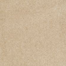 Shaw Floors Value Collections Let's Race Net Venetian Tile