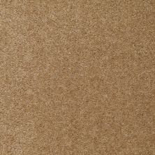 Shaw Floors Value Collections Let's Race Net Mink