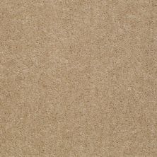 Shaw Floors Value Collections Let's Race Net Pebble Walk