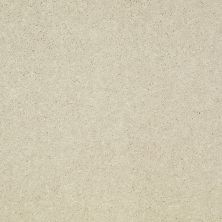 Shaw Floors Value Collections Well Played I 15′ Net Fresco 00100_E0847