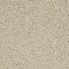 Shaw Floors Value Collections Well Played I 15′ Net Ecru 00103_E0847