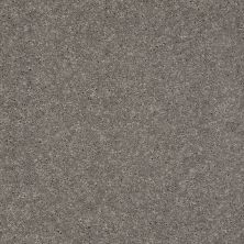 Shaw Floors Value Collections Well Played I 15′ Net Thunder 00503_E0847