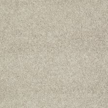 Shaw Floors Value Collections Well Played I 15′ Net Natural Beige 00700_E0847